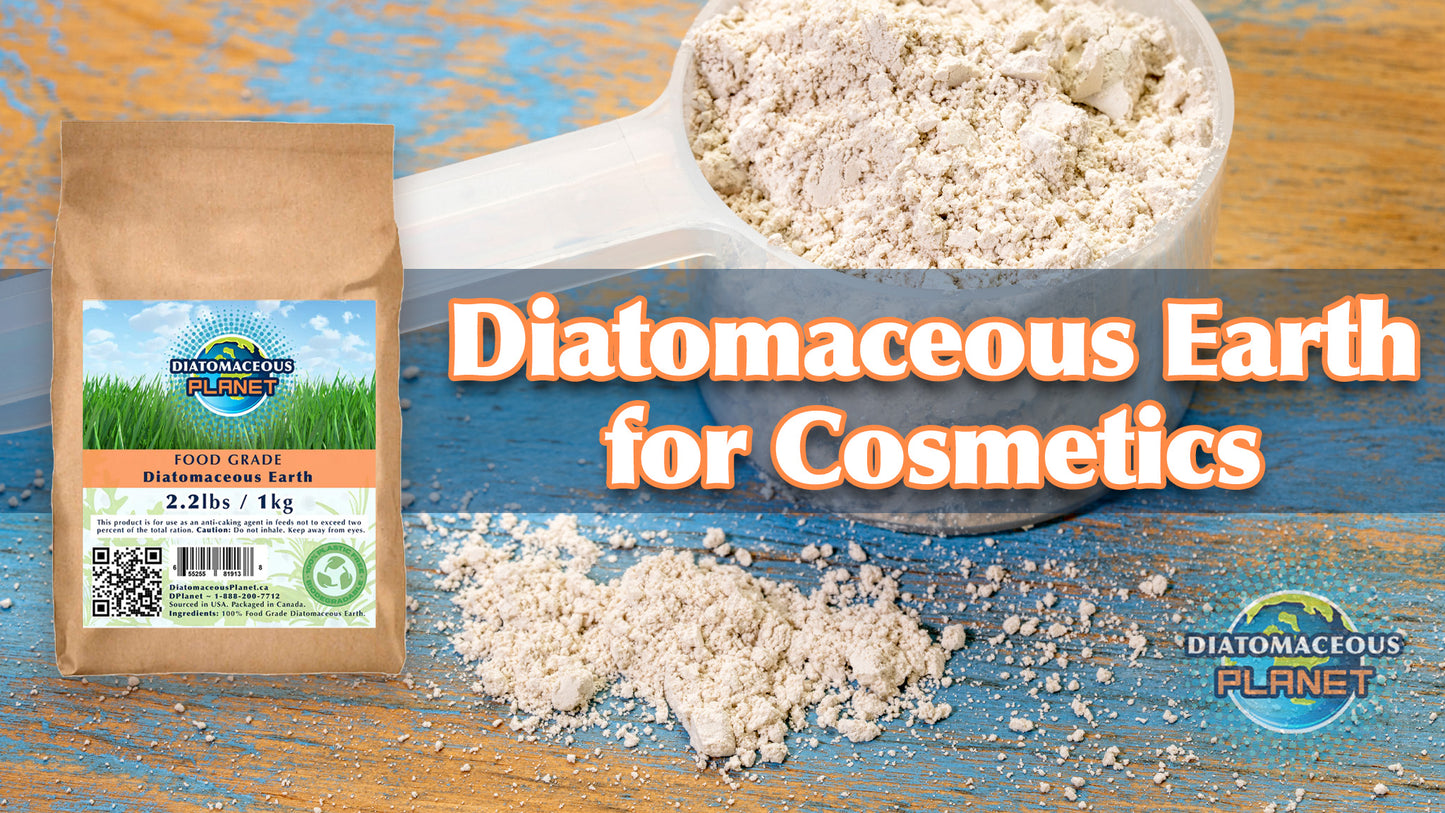 Case of Food Grade Diatomaceous Earth 1kg/2.2 lbs x7 (15 pounds)