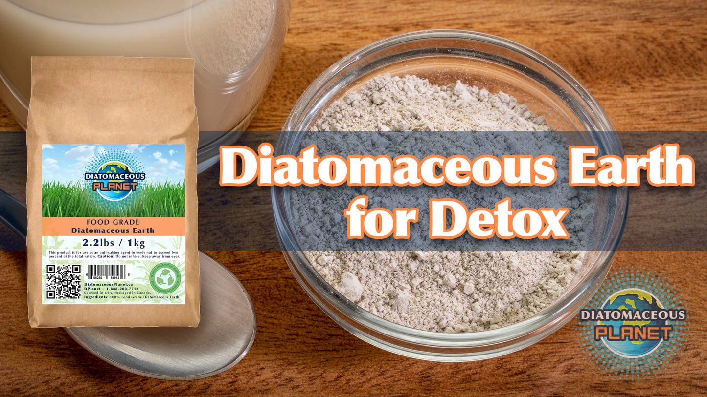 Case of Food Grade Diatomaceous Earth 1kg/2.2 lbs x7 (15 pounds)