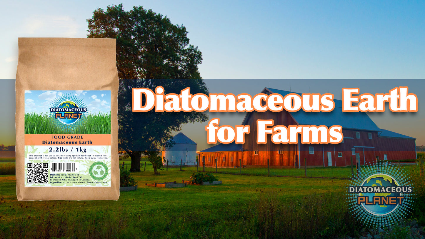 Case of Food Grade Diatomaceous Earth 1kg/2.2 lbs x7 (15 pounds)