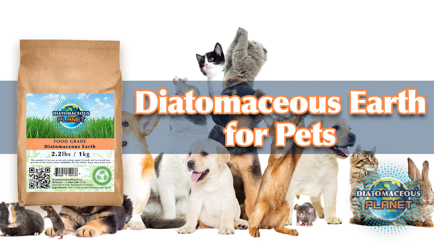 Case of Food Grade Diatomaceous Earth 1kg/2.2 lbs x7 (15 pounds)