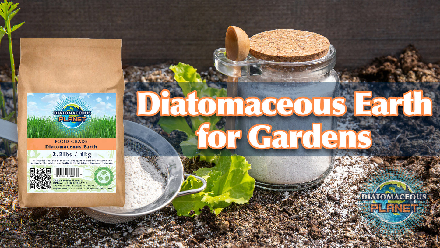 Case of Food Grade Diatomaceous Earth 1kg/2.2 lbs x7 (15 pounds)